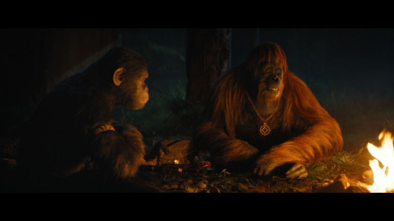 Planet der Affen: New Kingdom - Exklusive Bilder aus dem neuen Sci-Fi-Film
